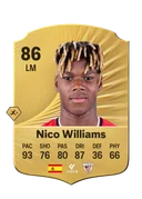 Nico Williams