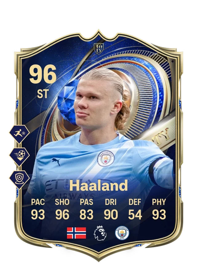 Erling Haaland